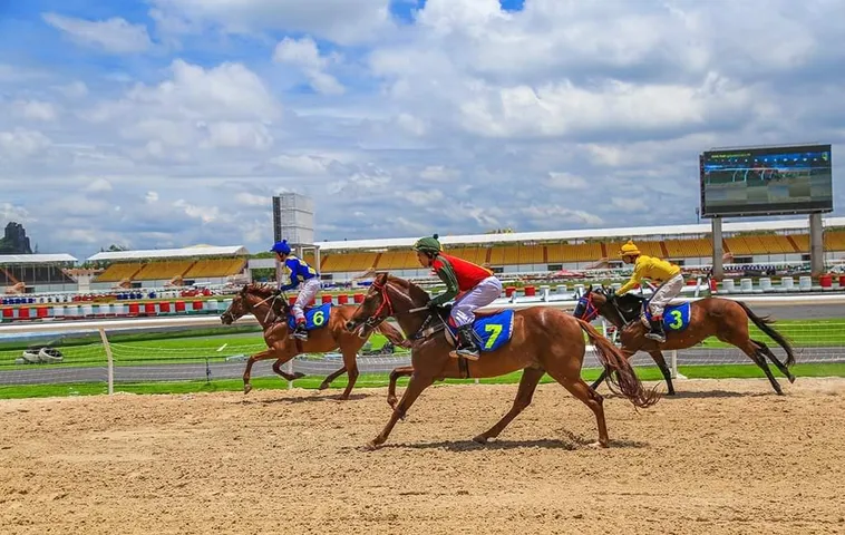 Kinh Nghiệm Thực Chiến Khi Cá Cược Đua Ngựa Tại Nhà Cái 77Win Hiệu Quả