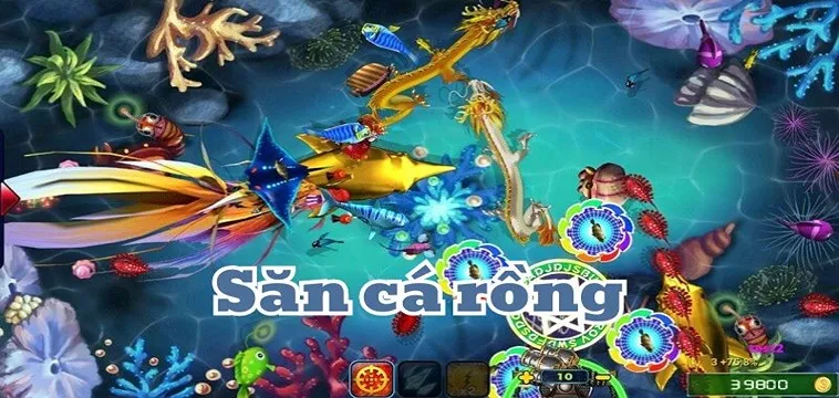 Bí Quyết Chơi Bắn Cá Rồng 77Win Hiệu Quả Cho Người Muốn Tăng Tỷ Lệ Thắng