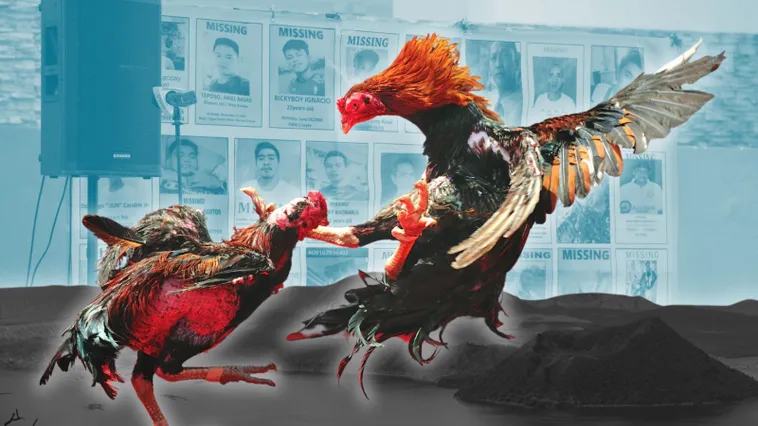 Cách Chơi Đá Gà Sabong Tại 77Win Hiệu Quả Cho Người Chơi Dày Dạn Kinh Nghiệm