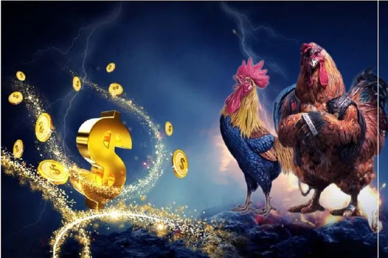 Kinh Nghiệm Chơi Đá Gà 3D Tại 77Win Từ Cao Thủ Cá Cược Trực Tuyến